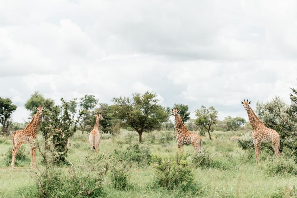 Monate Game Lodge Modimolle Bagian luar foto
